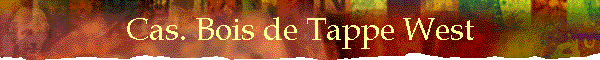 Cas. Bois de Tappe West